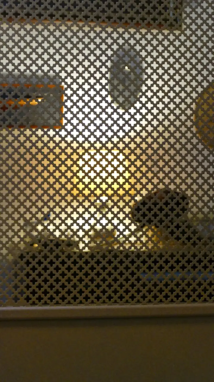 Porte battante 6